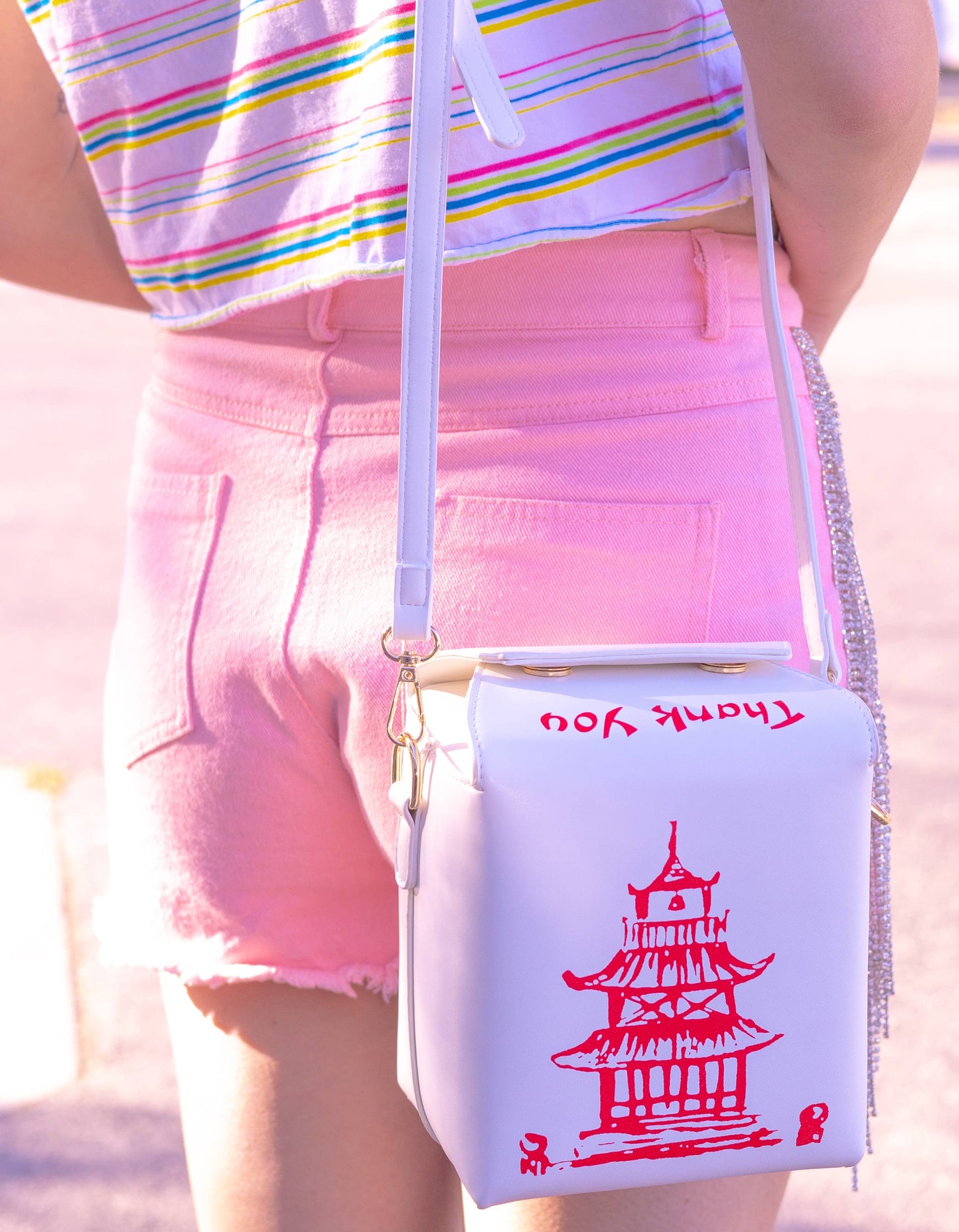 Takeout Container Bag