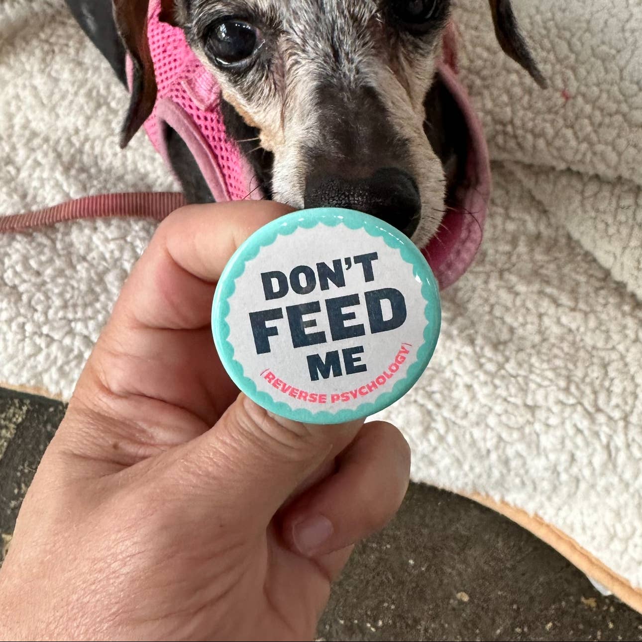 Don't Feed Me Button