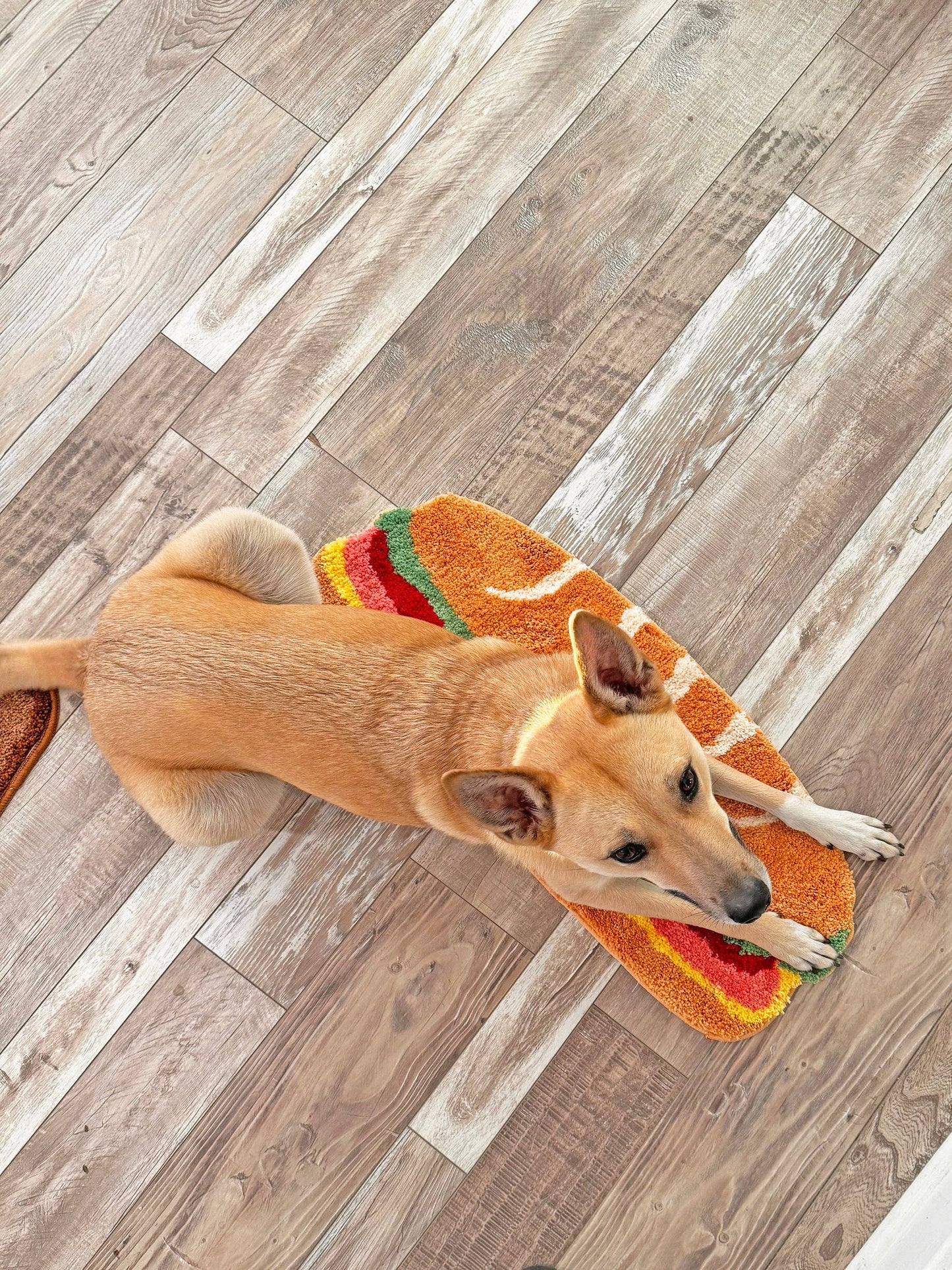 Hoagie Rug