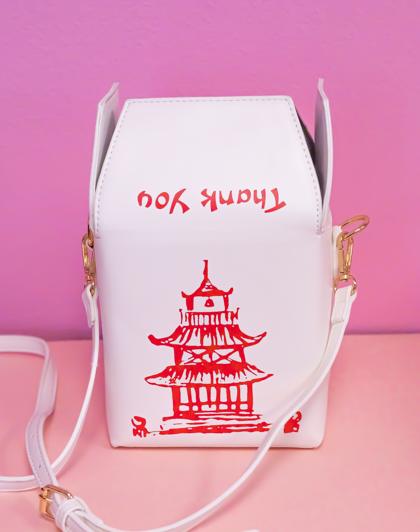 Takeout Container Bag