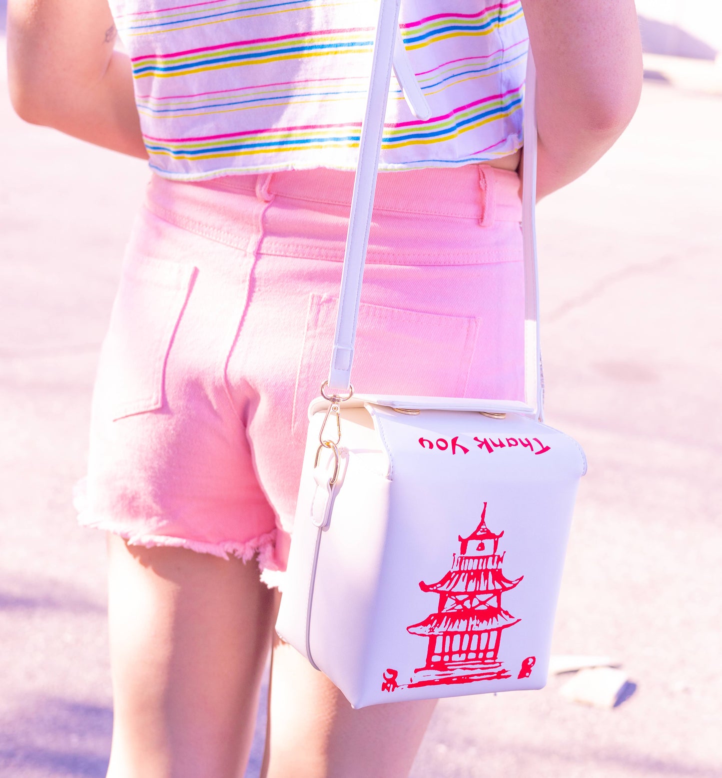 Takeout Container Bag