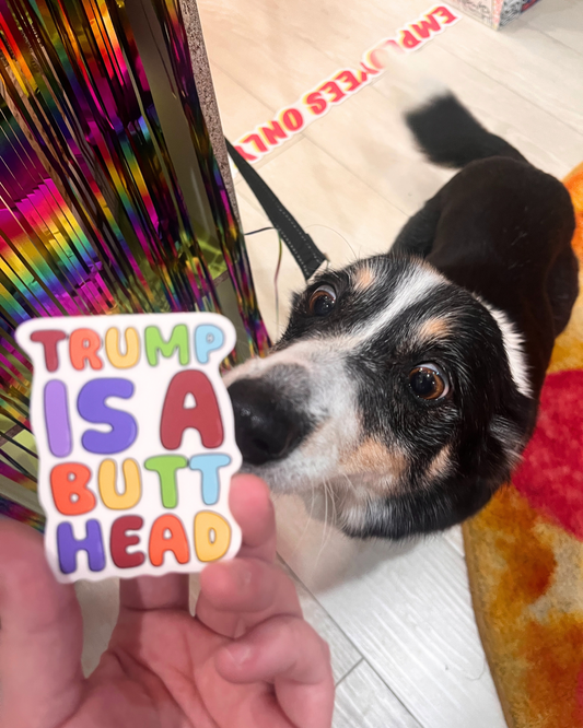 Dog looking at a colorful sticker with text held by a hand.