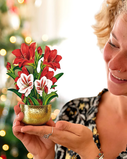 Mini Christmas Scarlet Amaryllis Pop-Up Card