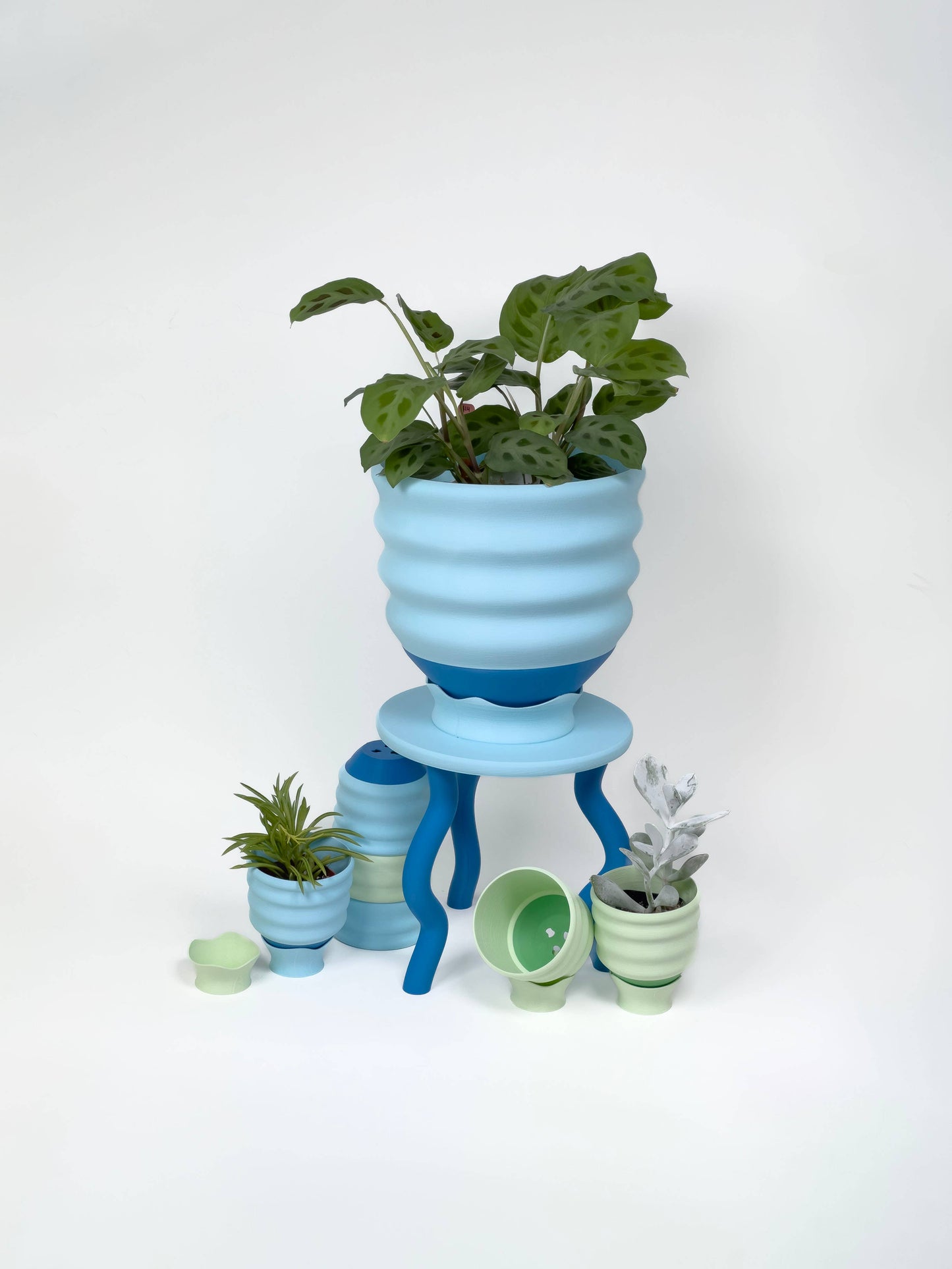 Wavy Plant Stand : Blue